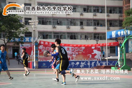 厨师学校,西点学校,篮球赛