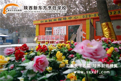 西安新东方迎来春暖花开