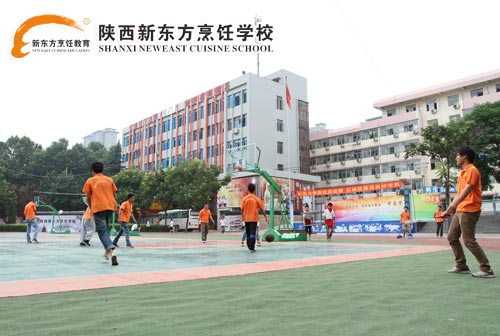 丰富多彩的校园活动