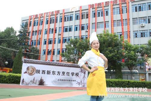 陕西新东方,开启精彩未来