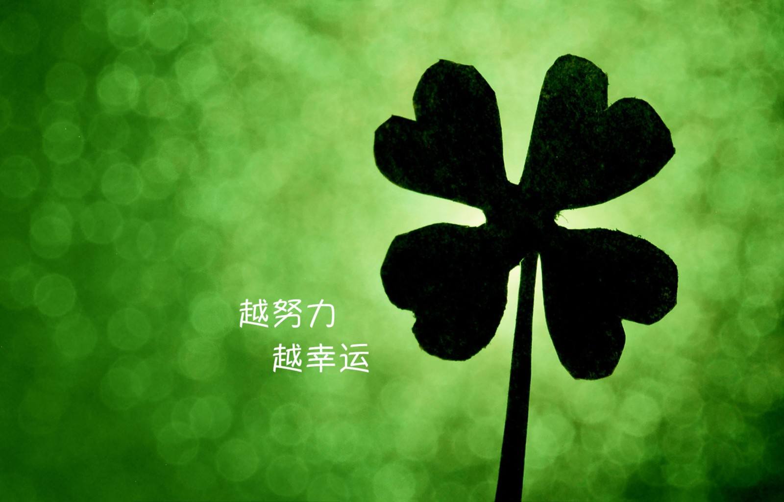 全国饭店业职业技能大赛“美乐杯即将开赛
