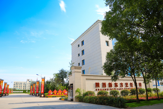 陕西新东方烹饪学校